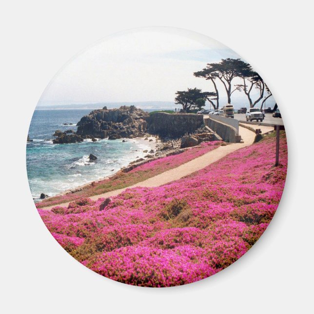 Imã Pacific Grove-Monterey Calif (Frente)