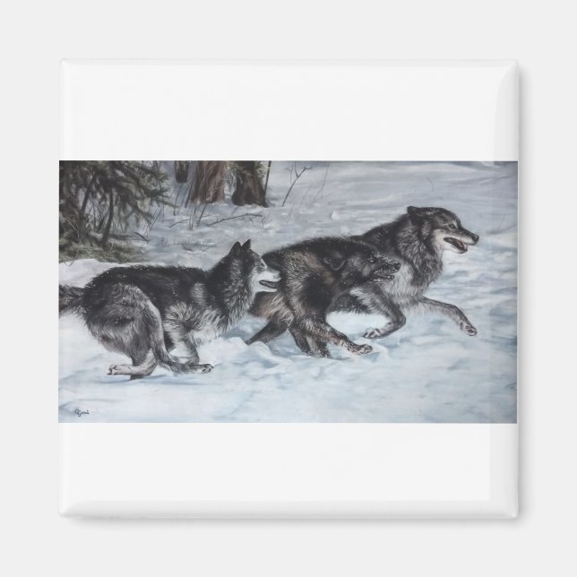 Imã Pack of wolves running through the snow (Frente)