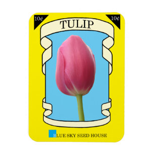 Ímã Pacote da semente da tulipa