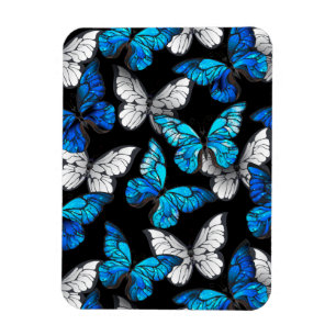 Ímã Padrão contínuo escuro com borboletas azuis Morpho