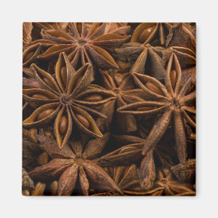 Imã Padrão de Anise Stars