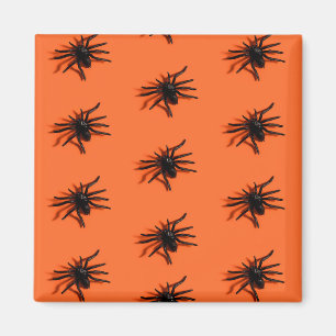 Imã Padrão de aranha do Dia das Bruxas