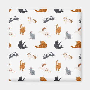 Imã Padrão de Cat