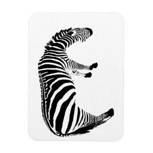 Ímã Padrão de Estampa de Zebra Preta e Branca em Negri