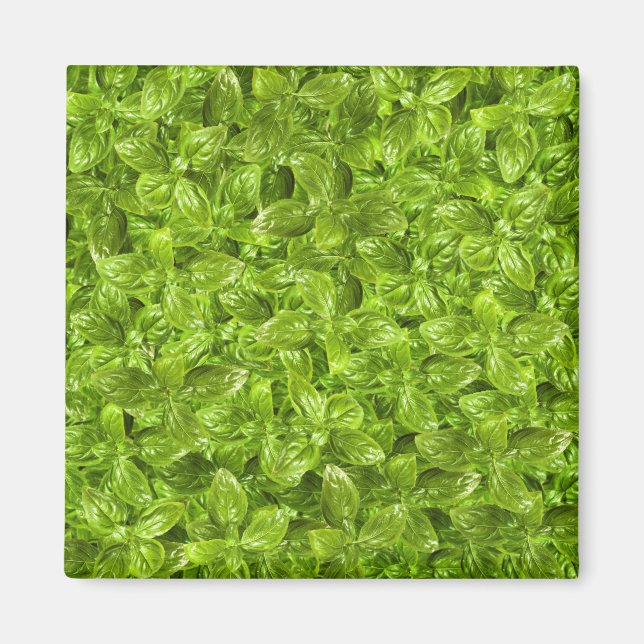 Imã Padrão de Folhas de Basil (Frente)