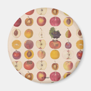 Imã Padrão de Fruta do Vintage