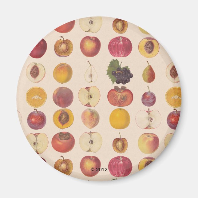 Imã Padrão de Fruta do Vintage (Frente)