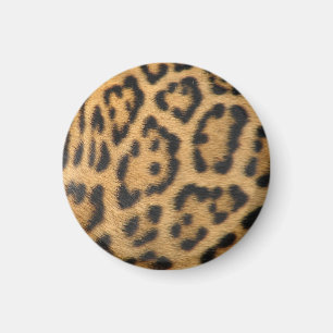 Imã Padrão de Manchas de Pelo de Leopardo