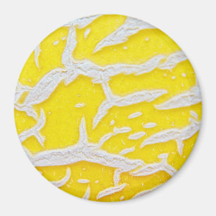 Imã Padrão de melão amarelo 
