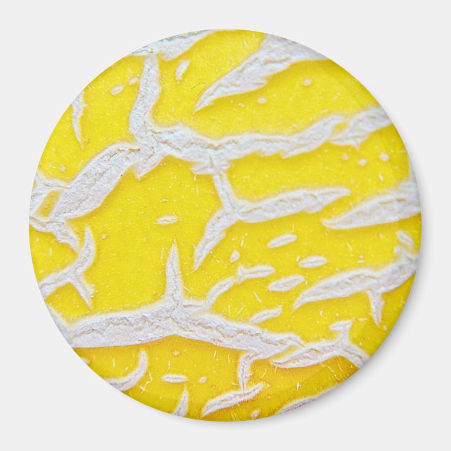 Imã Padrão de melão amarelo (Frente)