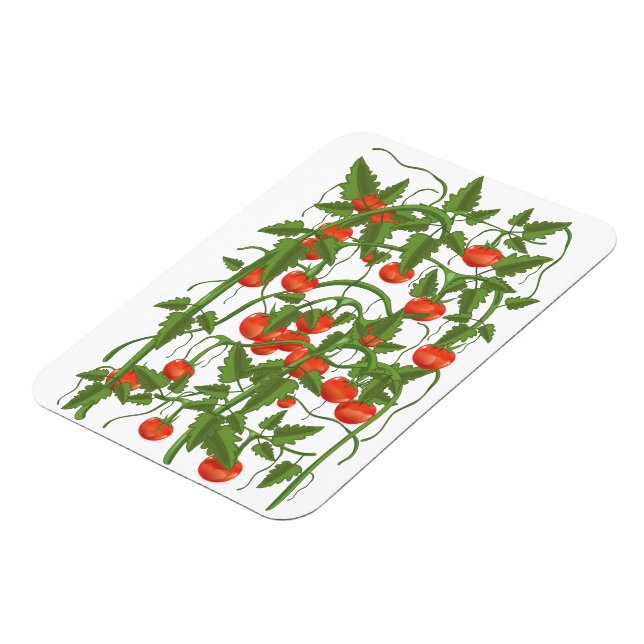 Ímã Padrão de Tomates (Left Side)