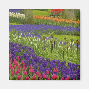 Imã Padrão de tulipas jacinto e jacinto-de-uva