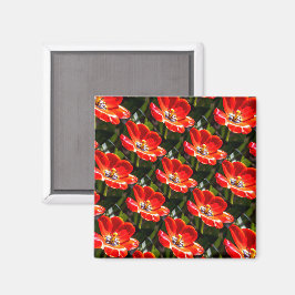 Imã Padrão de Tulipas Vermelhas