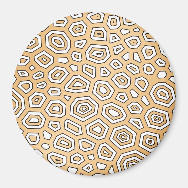 Imã Padrão experimental 7 (Frente)