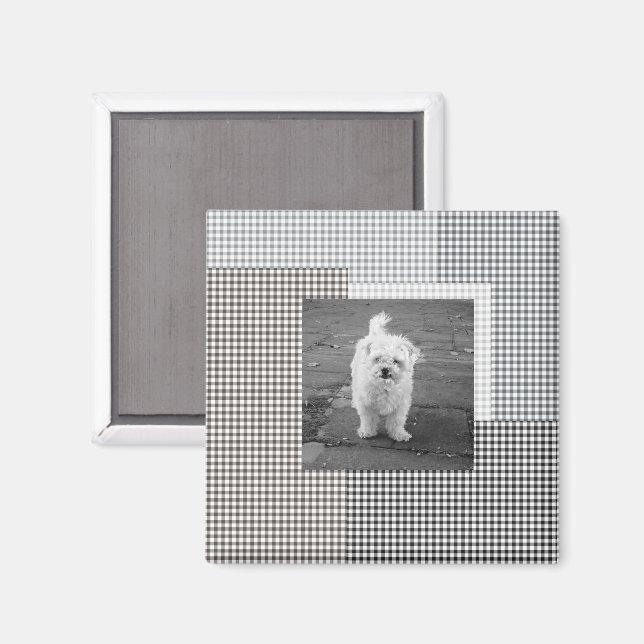 Imã Padrões Pet PHOTO Classic Gingham chic neutro (Front/Back)