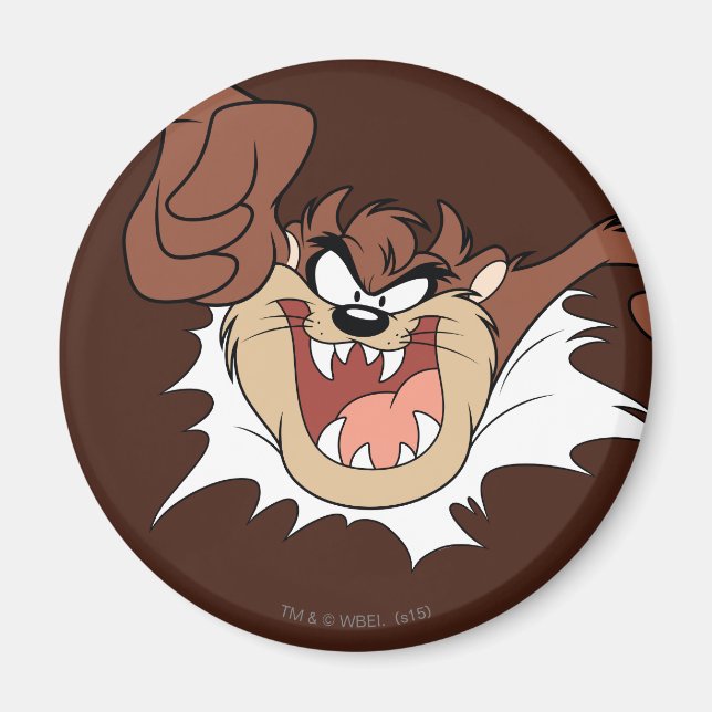 Imã Página de Interrupção de TAZ™ (Frente)