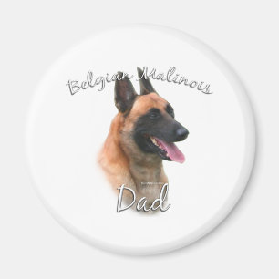 Imã Pai 2 da Bélgica Malinois