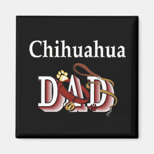 Imã pai de chihuahua