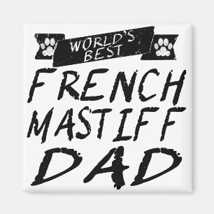Imã Pai francês do Mastiff do mundo o melhor