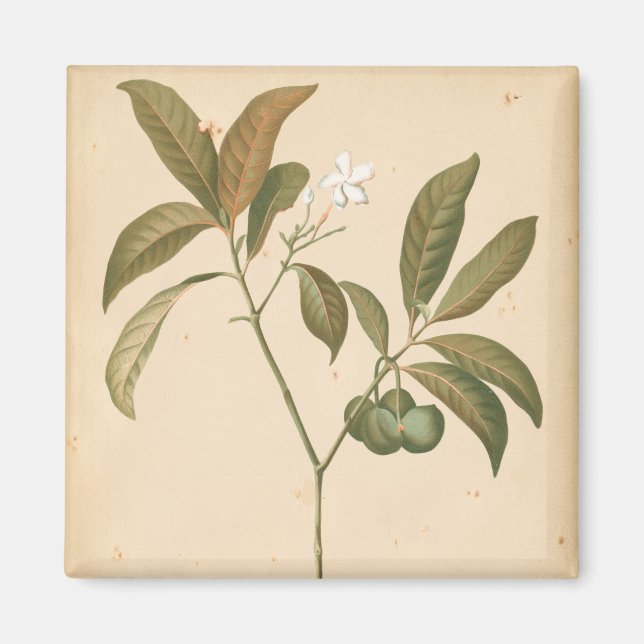 Imã Painel I do Deco do Cobalto (Frente)