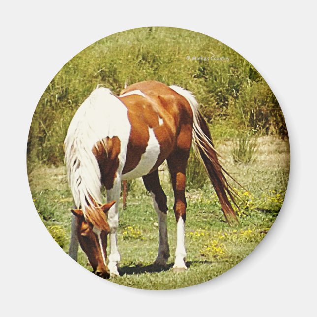 Imã Paint Horse (Frente)
