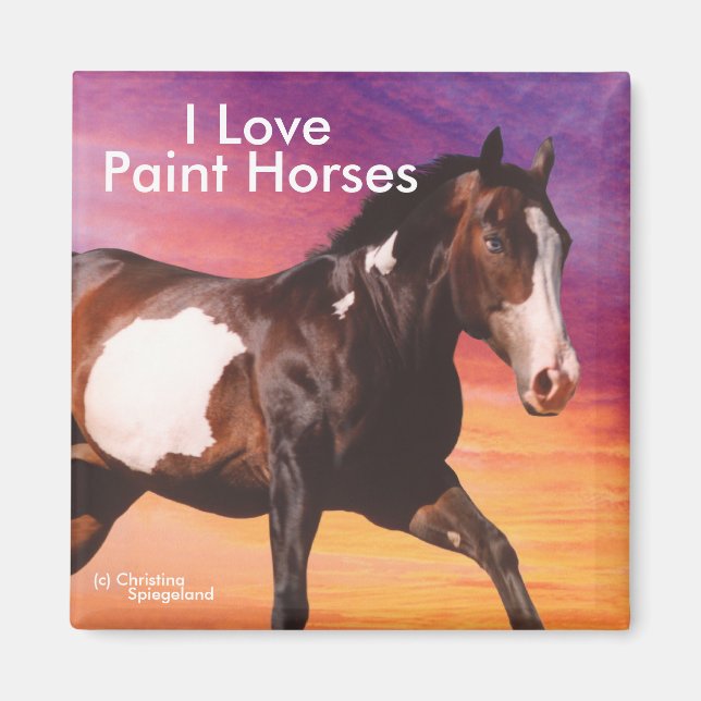 Imã Paint Horse galloping sunrise (Frente)