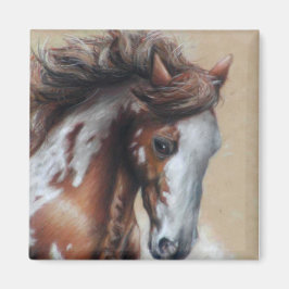 Imã Paint horse in desert