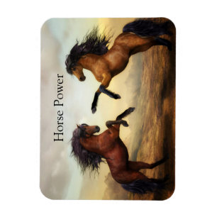 Ímã pair of wild horses