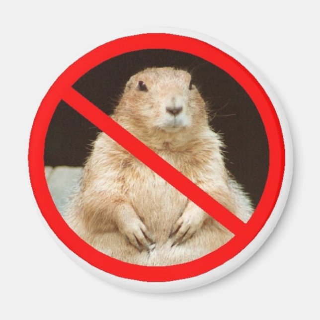 Imã pairiedoggin (Frente)