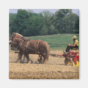 Imã País Amish pessoas simples na agricultura com