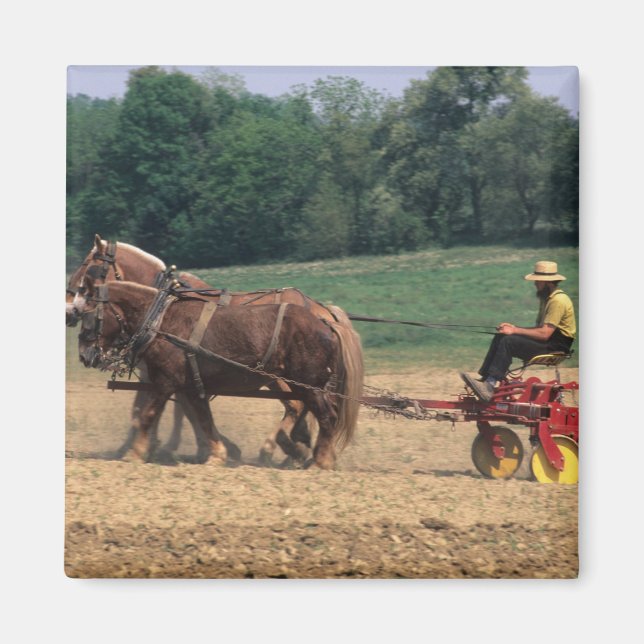 Imã País Amish pessoas simples na agricultura com (Frente)
