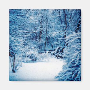 Imã País das maravilhas do inverno