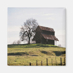 Imã País no outono......