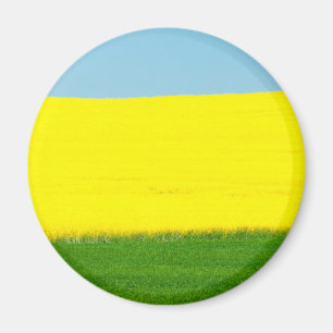 Imã Paisagem