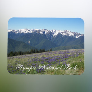 Ímã Paisagem Cênnica do Parque Nacional da olimpiadas
