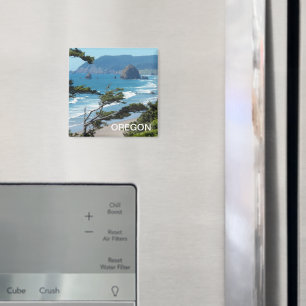 Imã Paisagem Cêntica da Costa do Oregon