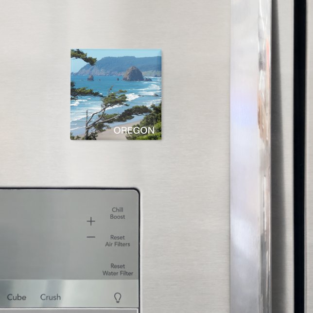 Imã Paisagem Cêntica da Costa do Oregon (In Situ (Fridge))