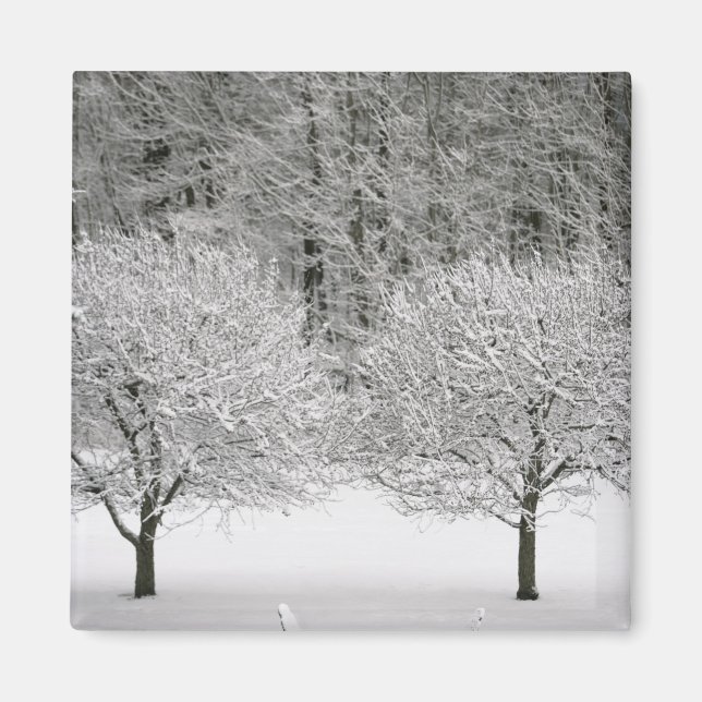 Imã Paisagem coberta por neve (Frente)