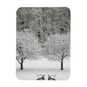 Ímã Paisagem coberto de neve
