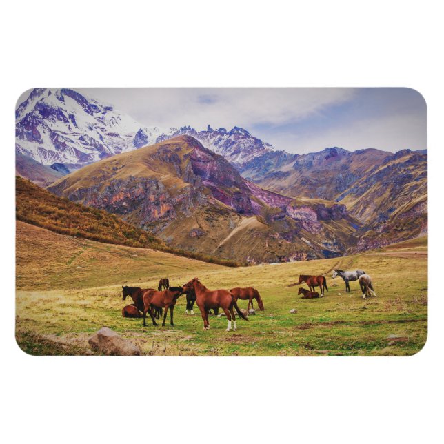Ímã Paisagem com cavalos em montanhas georgianas (Horizontal)