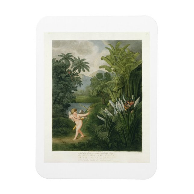 Ímã Paisagem com Cupido apontando uma seta para um pap (Vertical)