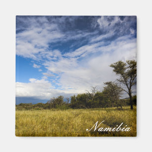 Imã Paisagem da África Namíbia Nature Bushveld