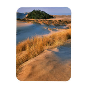 Ímã Paisagem das Dunas de Areia de Oregon