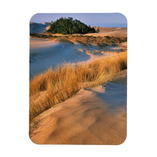 Ímã Paisagem das Dunas de Areia de Oregon (Vertical)