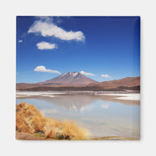 Imã Paisagem de Altiplano com o vulcão em Bolívia