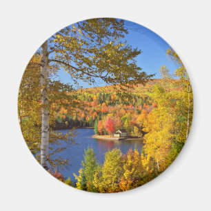 Imã Paisagem de árvore de outono, Maine