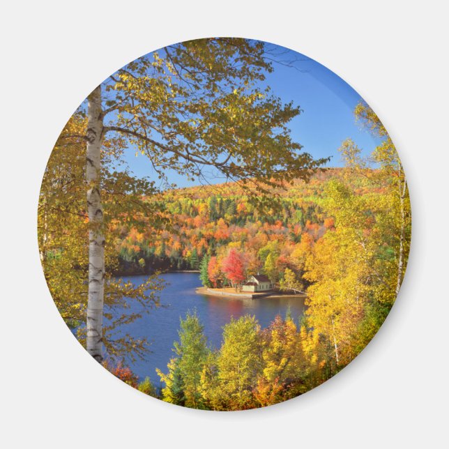 Imã Paisagem de árvore de outono, Maine (Frente)