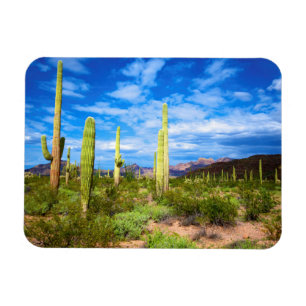 Ímã Paisagem de cacto do deserto, Arizona