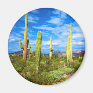 Imã Paisagem de cacto do deserto, Arizona
