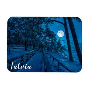 Ímã Paisagem de inverno com floresta de pinheiros cobe